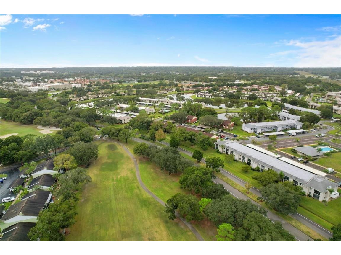 206 Caryl Way #1 Oldsmar FL 34677 TB8427572 image3