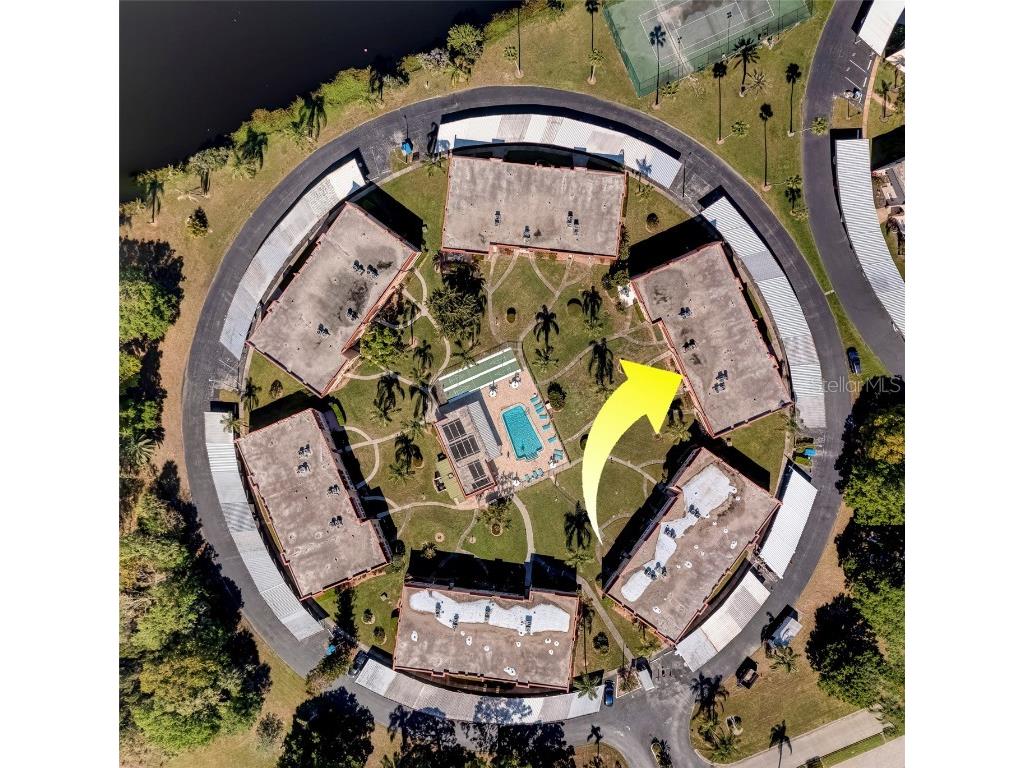 206 Dogwood Circle Seminole FL 33777 TB8421980 image40