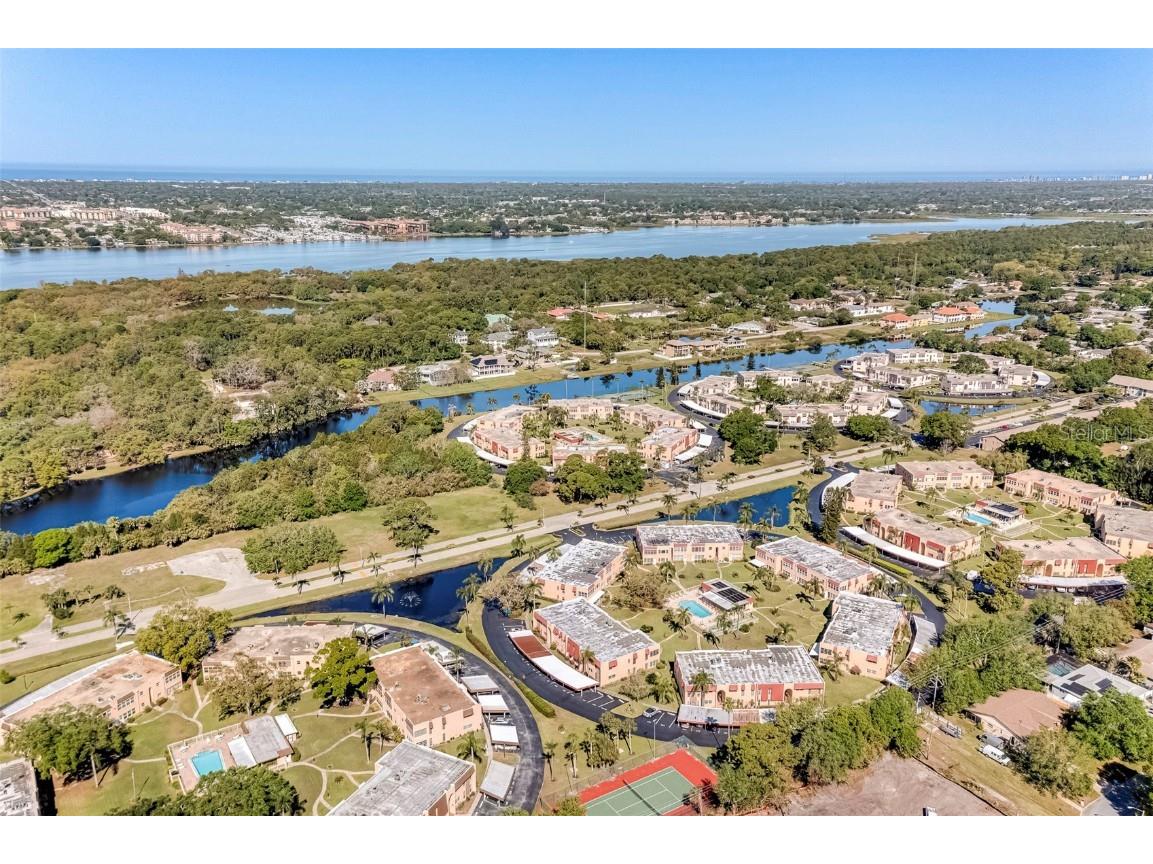 206 Dogwood Circle Seminole FL 33777 TB8421980 image42