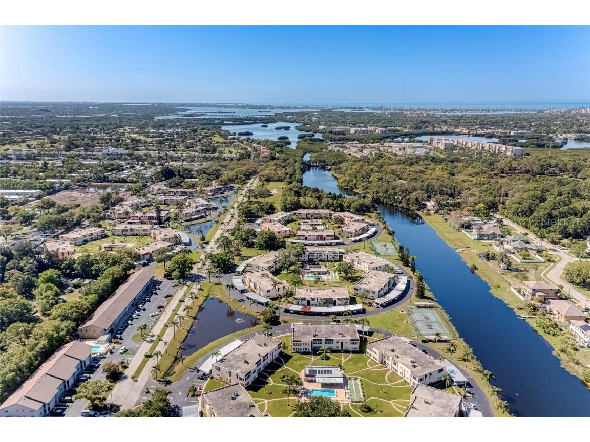 206 Dogwood Circle Seminole FL 33777 TB8421980 image44