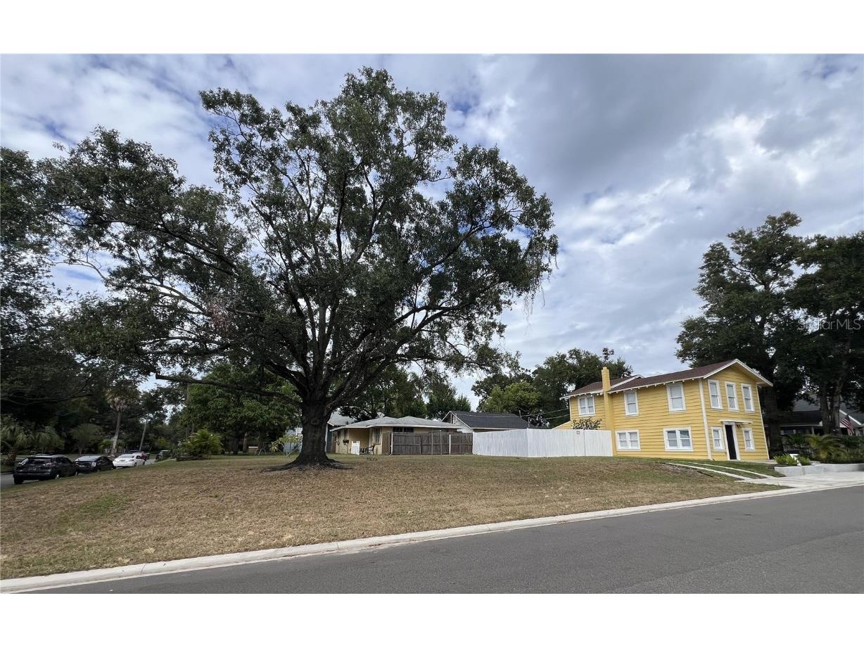 206 E Frierson Avenue Tampa FL 33603 O6355235 image5