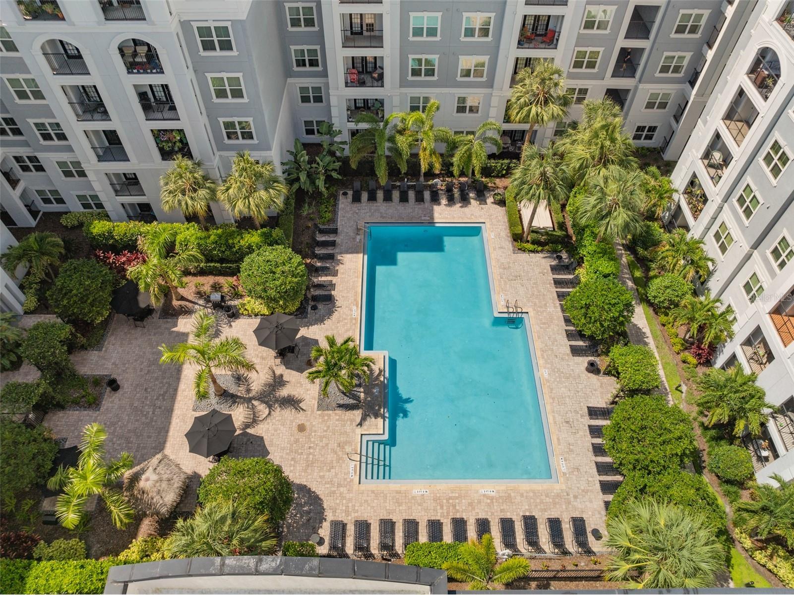 206 E South Street #6007 Orlando FL 32801 O6314652 image18