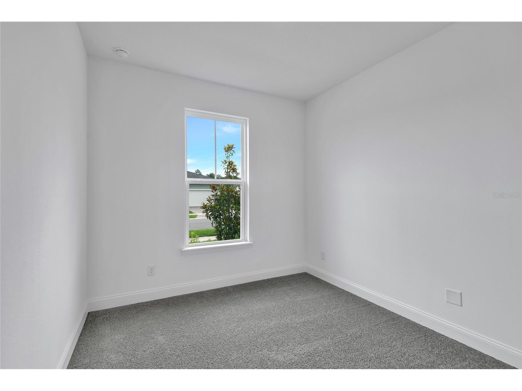 206 Enclave Avenue Palm Coast FL 32164 S5149925 image3