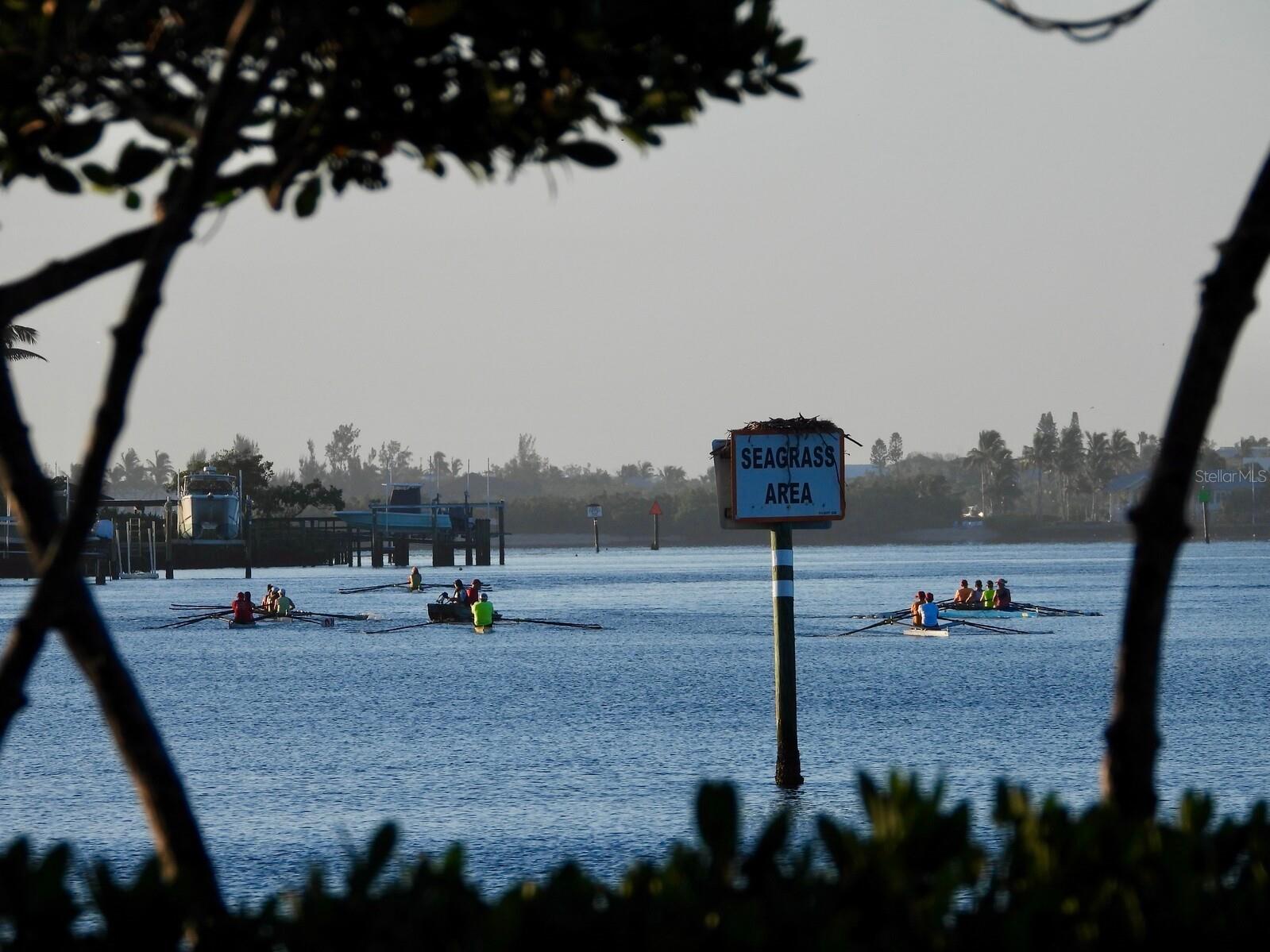 206 Four Knot Lane Osprey FL 34229 A4695429 image77