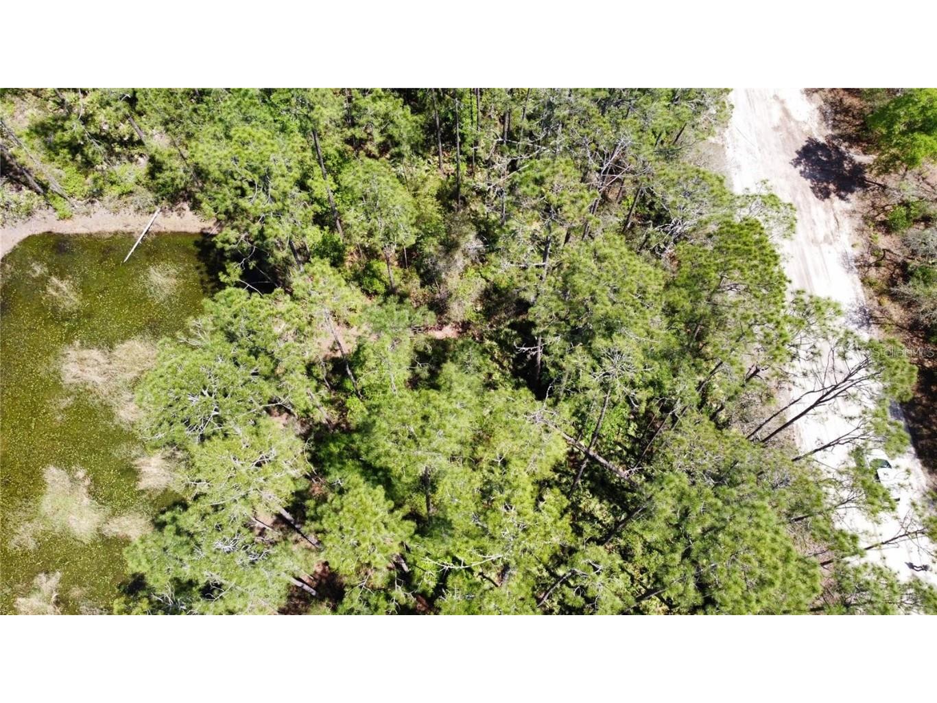 206 Hudson Street Interlachen FL 32148 O6303644 image3