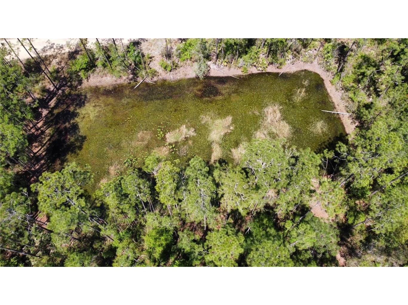 206 Hudson Street Interlachen FL 32148 O6303644 image4