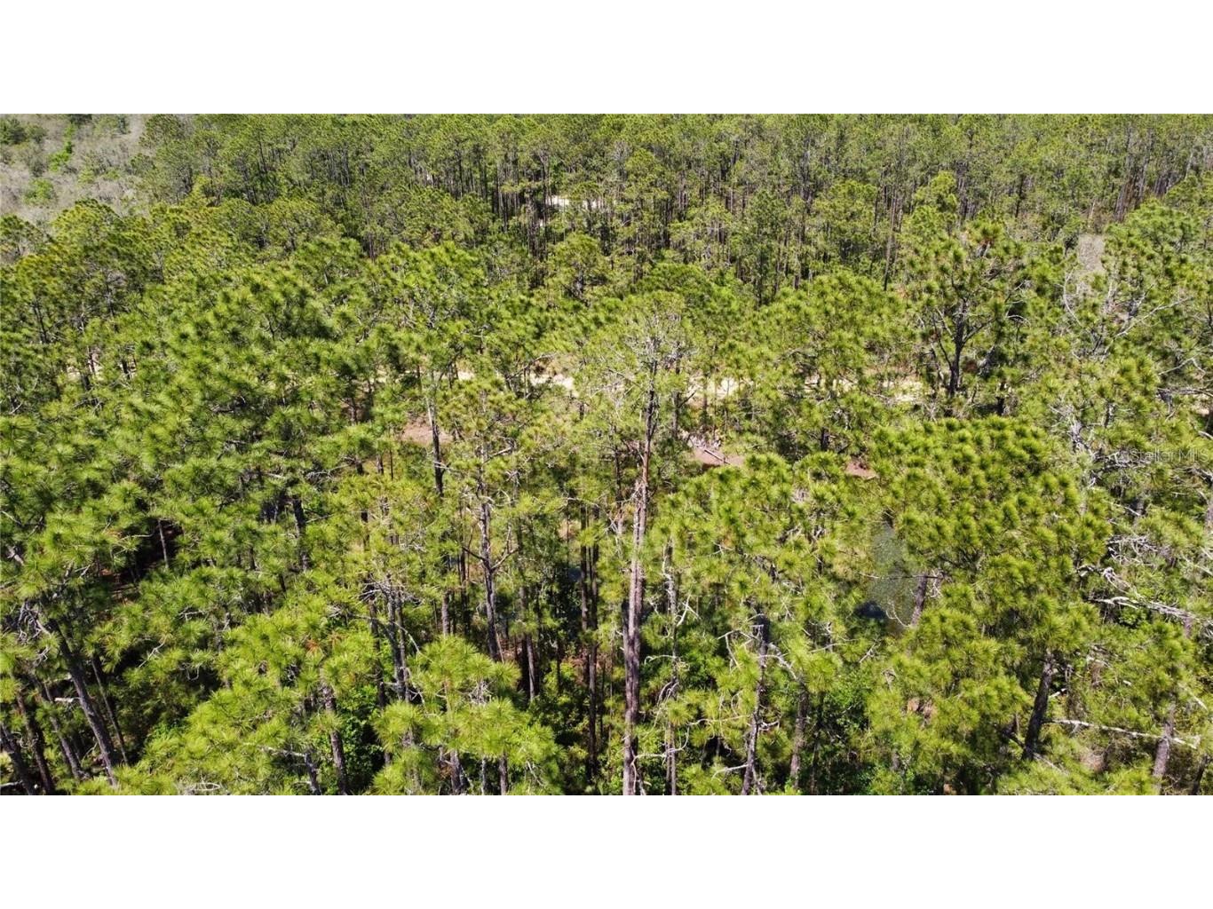 206 Hudson Street Interlachen FL 32148 O6303644 image5