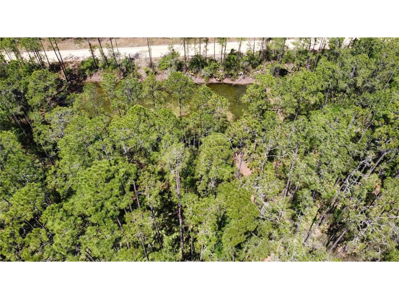 206 Hudson Street Interlachen FL 32148 O6303644 image6