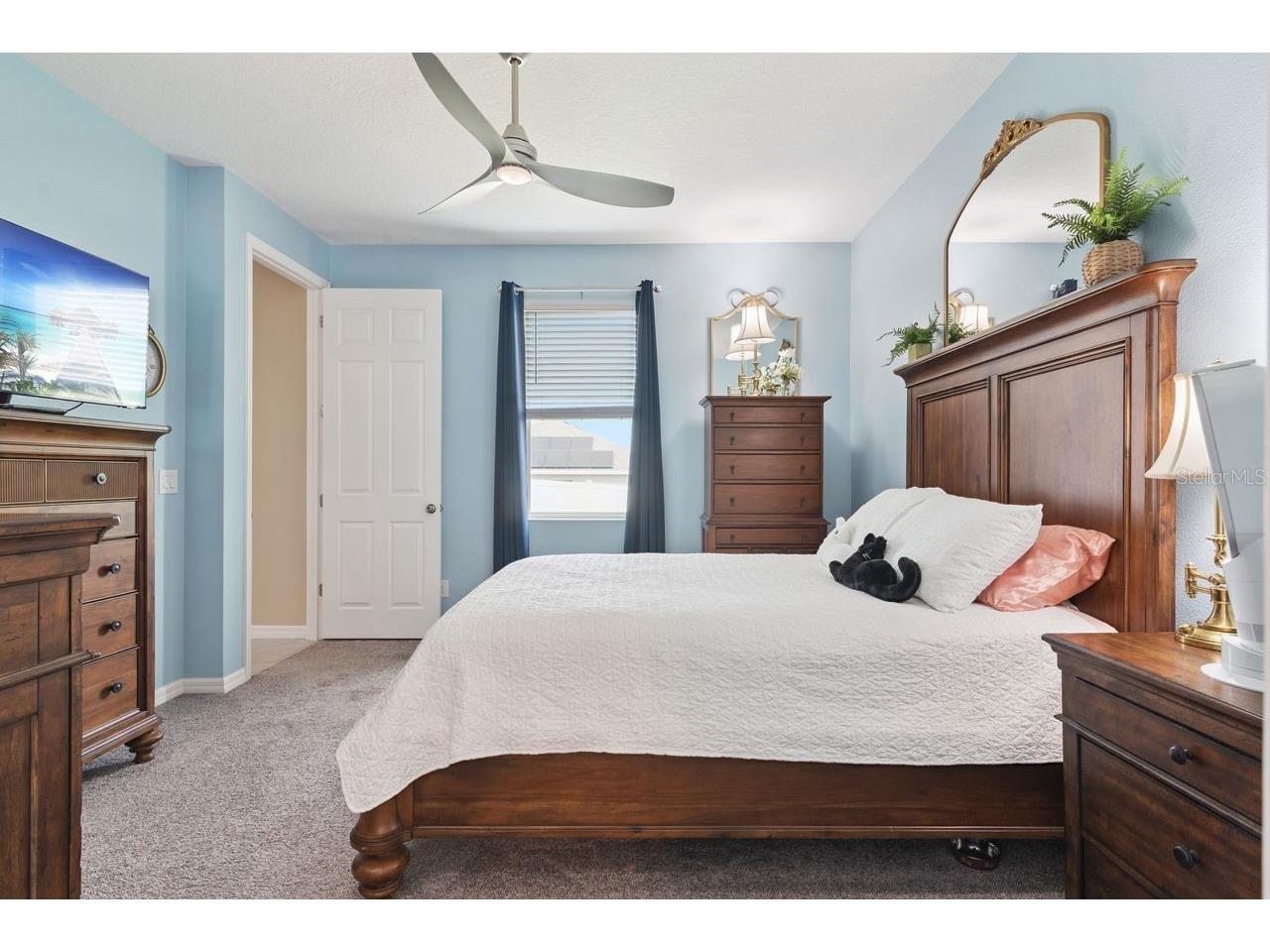 206 Hydra Way Groveland FL 34736 O6409077 image14