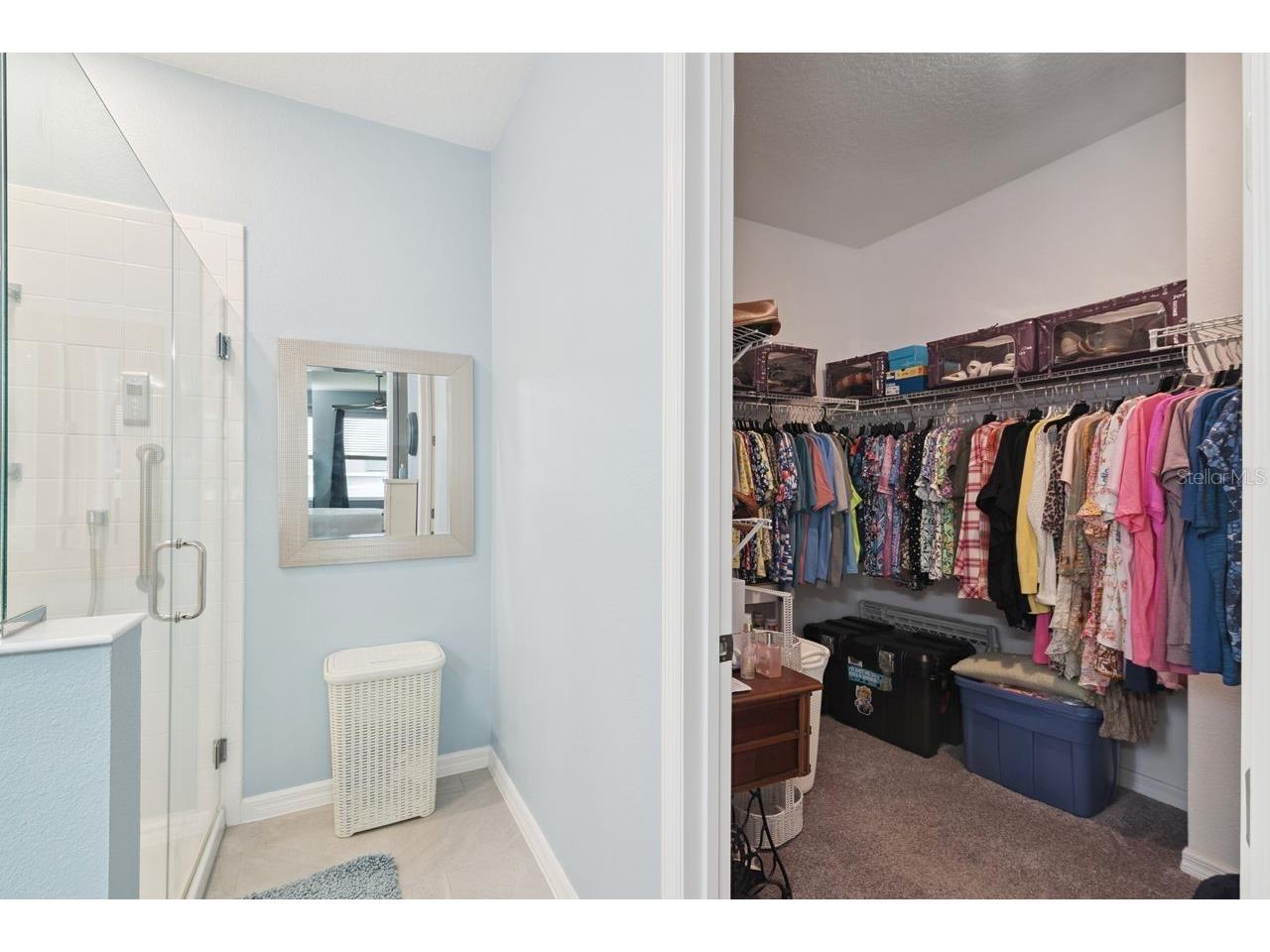 206 Hydra Way Groveland FL 34736 O6409077 image17