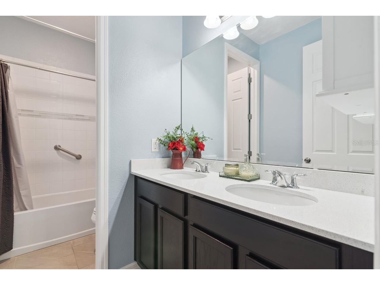 206 Hydra Way Groveland FL 34736 O6409077 image21