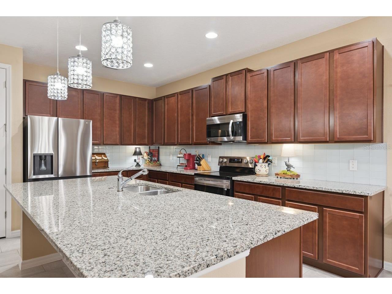 206 Hydra Way Groveland FL 34736 O6409077 image4