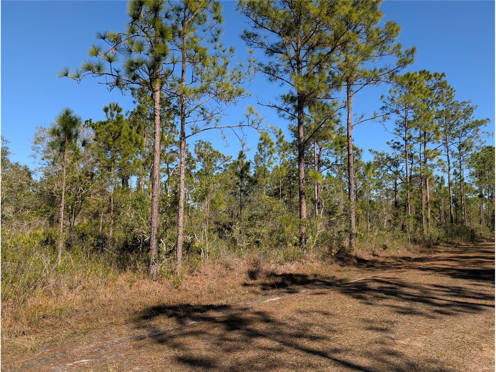 206 Ixora Drive Indian Lake Estates FL 33855 - LAKE WALK-IN-WATER P4937478 image1