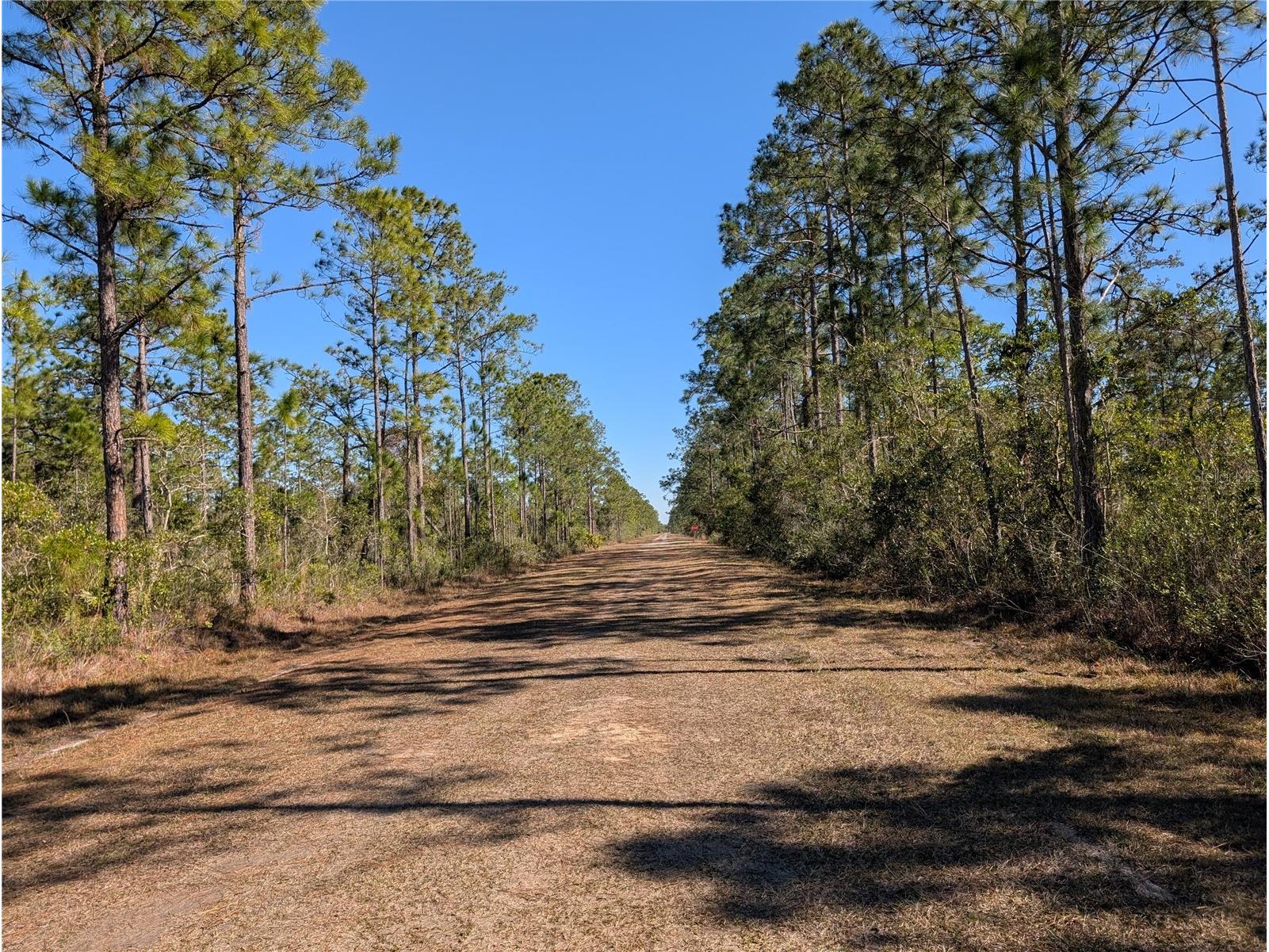 206 Ixora Drive Indian Lake Estates FL 33855 - LAKE WALK-IN-WATER P4937478 image2