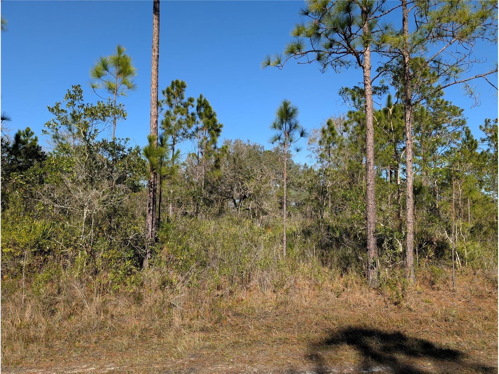 206 Ixora Drive Indian Lake Estates FL 33855 - LAKE WALK-IN-WATER P4937478 image5