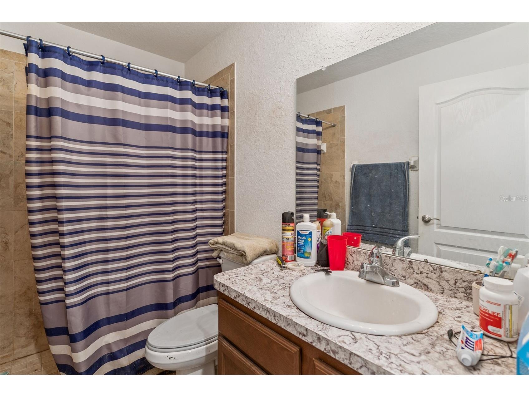 206 Lake Mariana Place Auburndale FL 33823 C7523502 image17