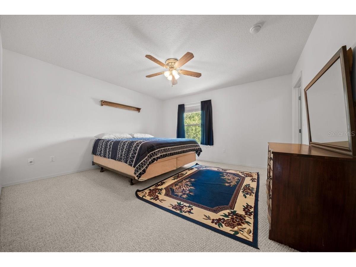 206 Malauka Radial Ocklawaha FL 32179 OM728404 image27