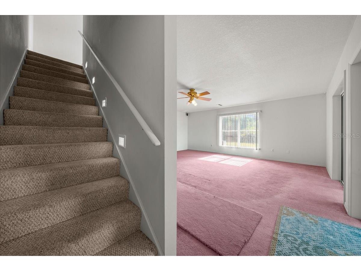 206 Malauka Radial Ocklawaha FL 32179 OM728404 image40