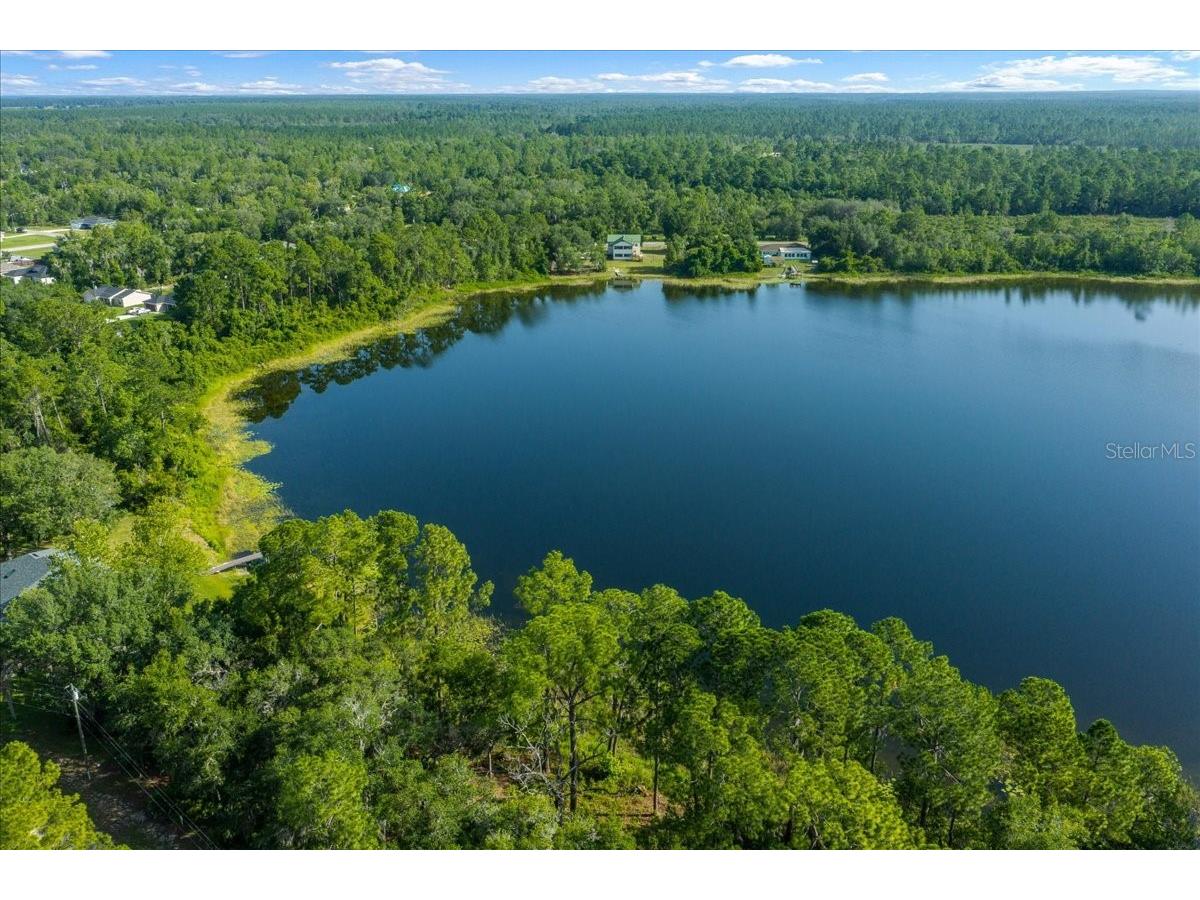 206 Malauka Radial Ocklawaha FL 32179 OM728404 image5
