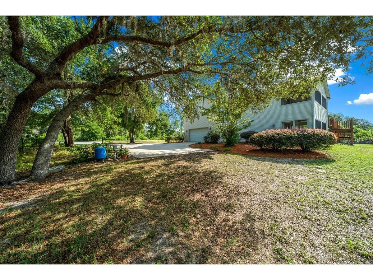 206 Malauka Radial Ocklawaha FL 32179 OM728404 image56