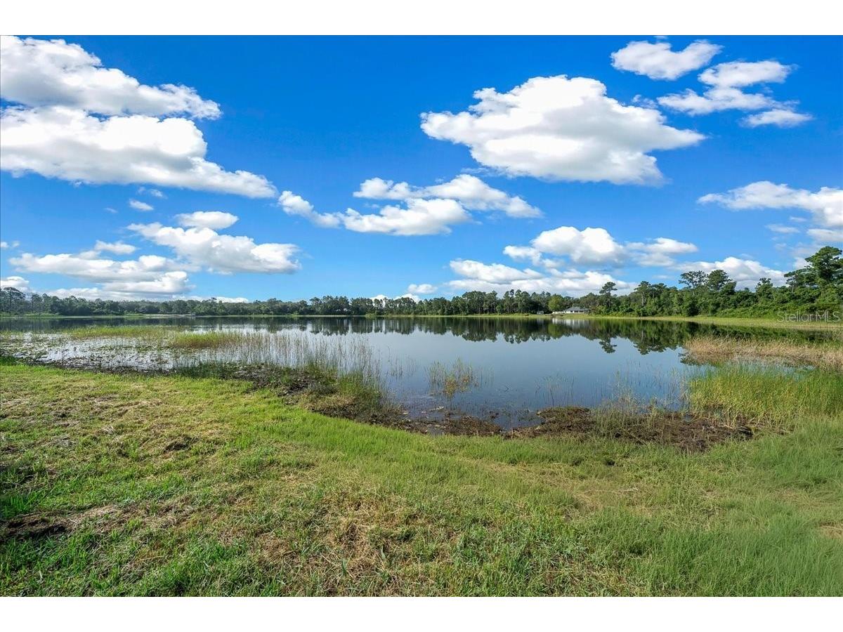 206 Malauka Radial Ocklawaha FL 32179 OM728404 image65