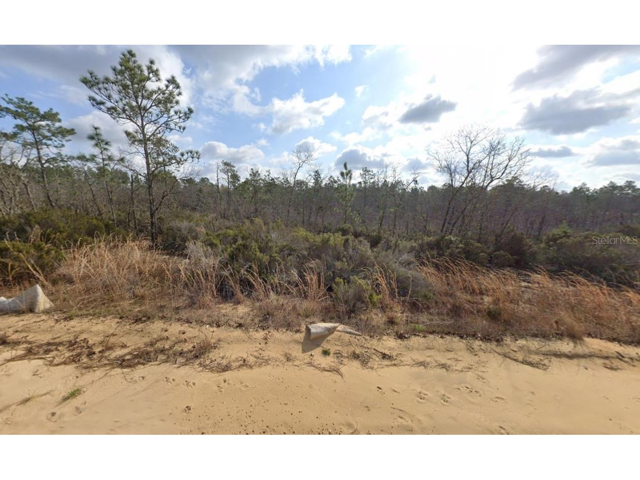 206 Marion Trail Interlachen FL 32148 OK225597 image1