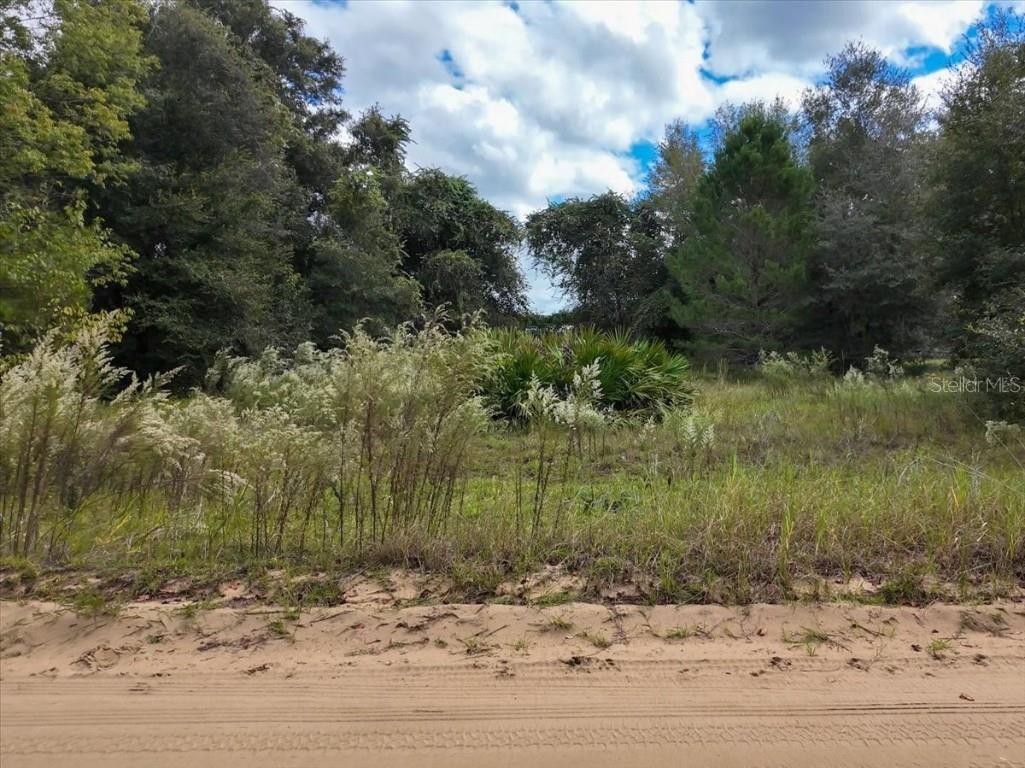 206 N Helmers Avenue Interlachen FL 32148 O6363873 image19