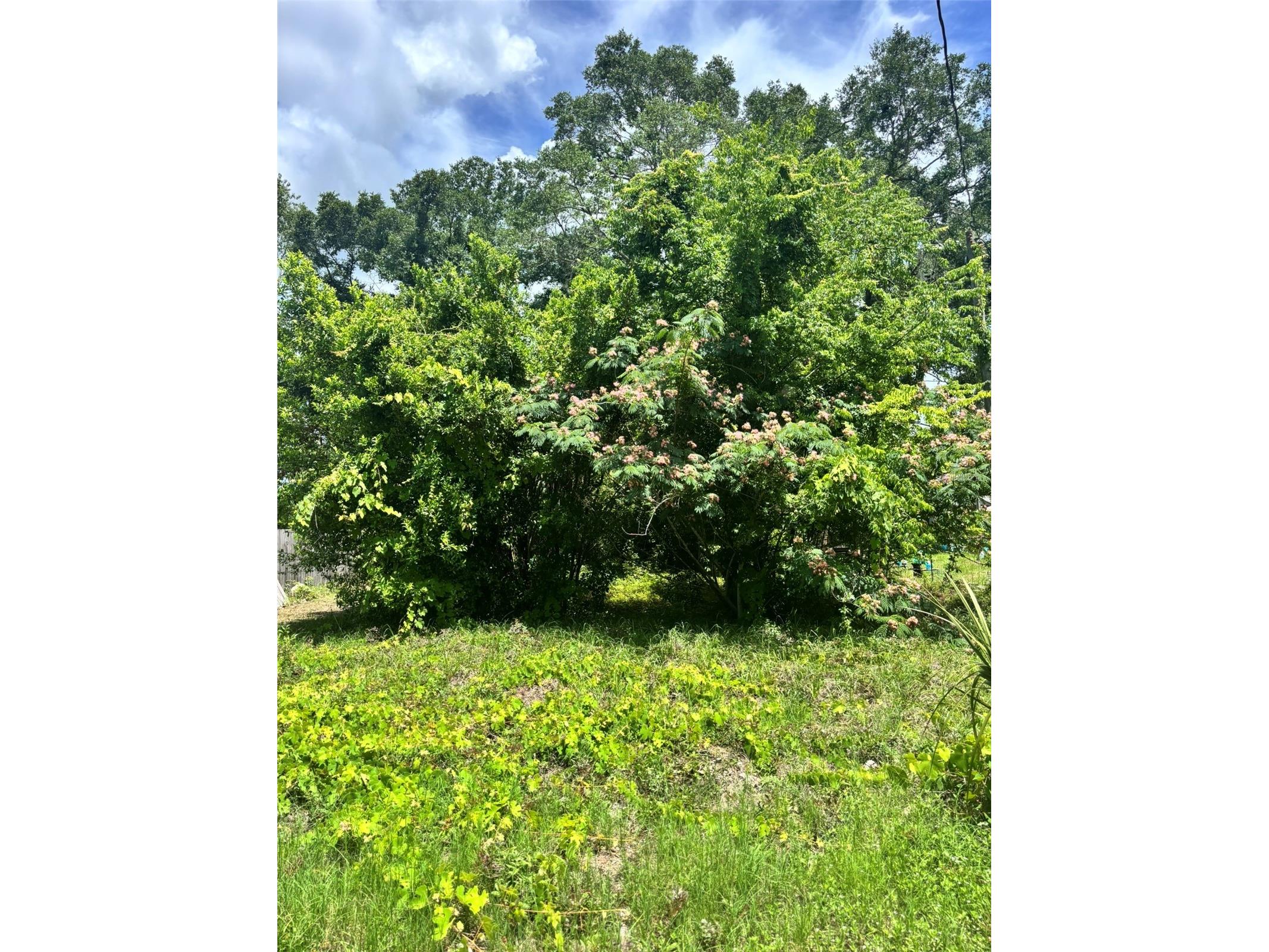 206 NE 13th Avenue Chiefland FL 32626 GC540939 image1
