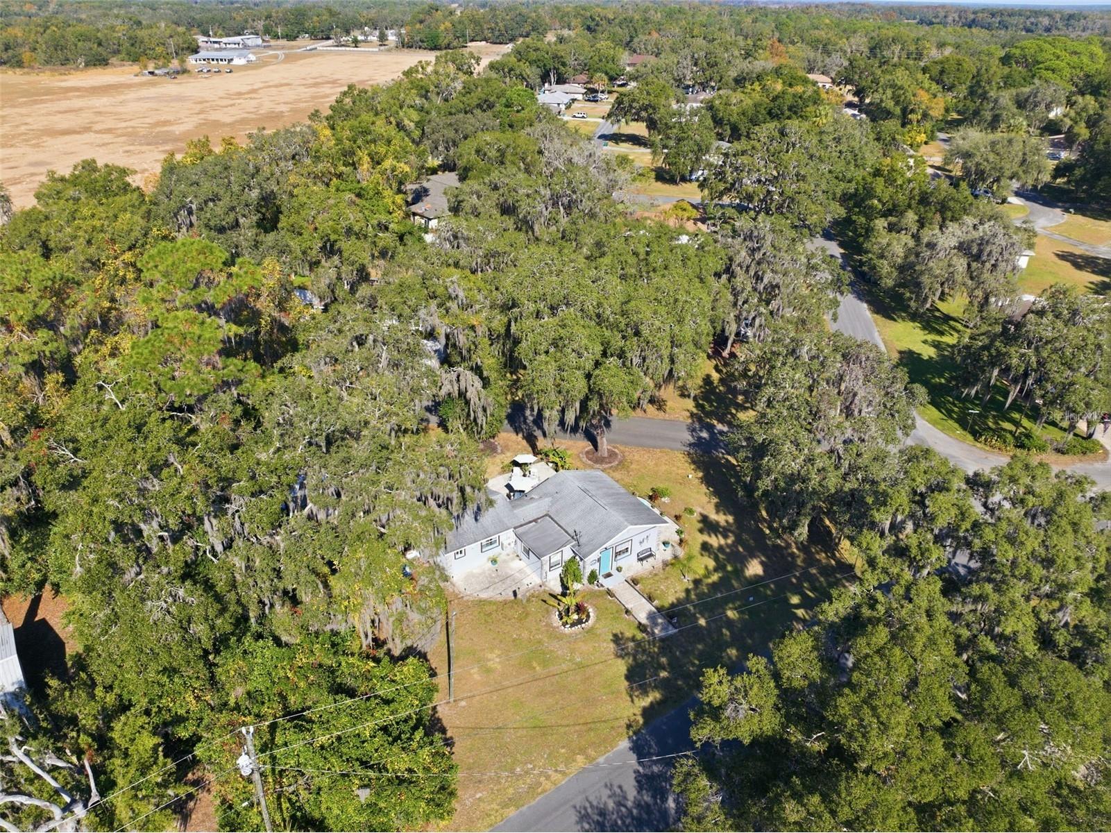 206 S Hunting Lodge Drive Inverness FL 34453 TB8450607 image17