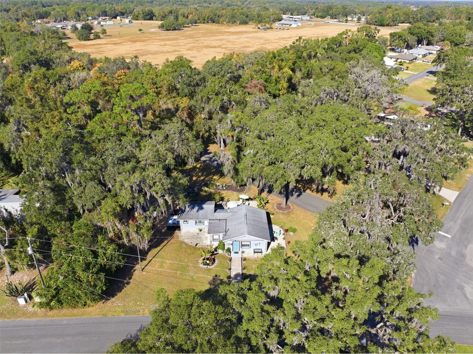 206 S Hunting Lodge Drive Inverness FL 34453 TB8450607 image25