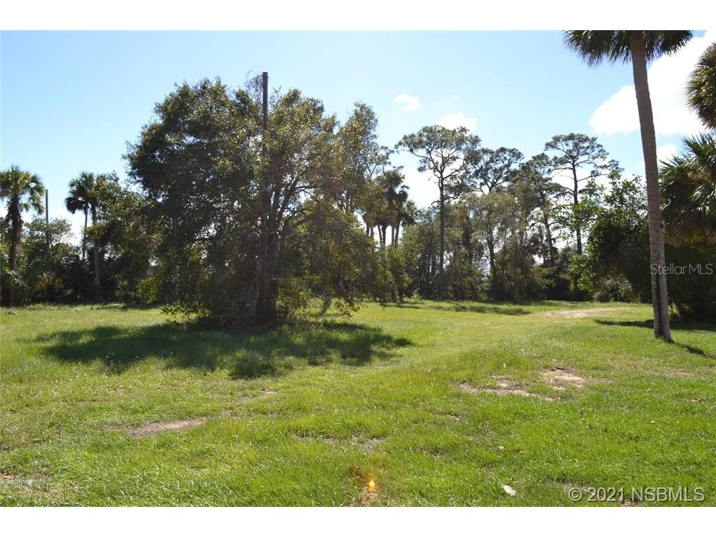 206 S Ridgewood Avenue Edgewater FL 32132 O6016696 image1