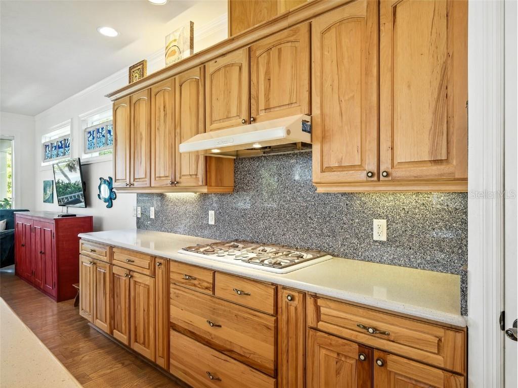 206 S Riverside Drive Edgewater FL 32132 - INDIAN RIVER INTRACOASTAL NS1085196 image24