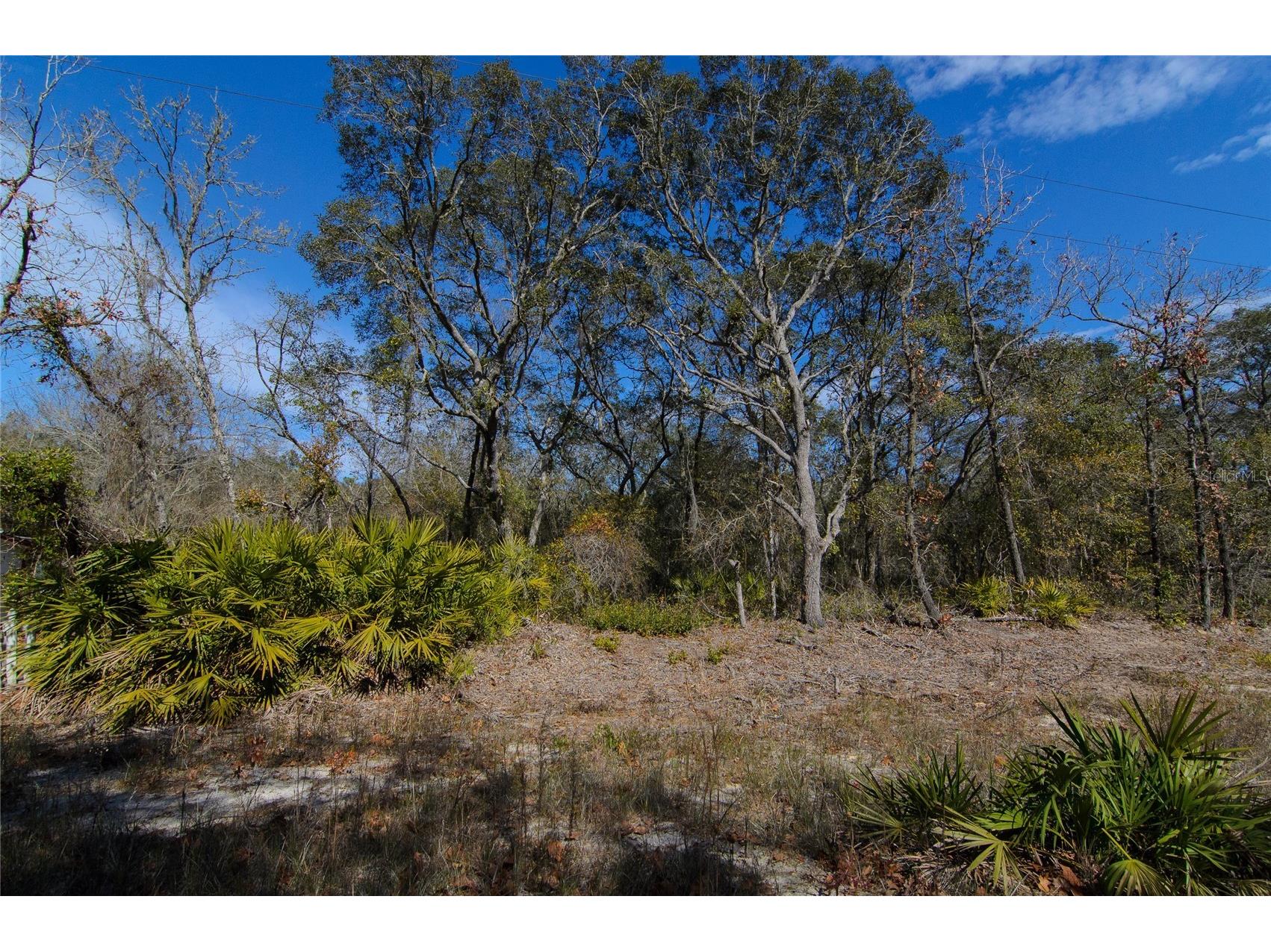 206 Tall Pine Trail Satsuma FL 32189 FC316044 image2