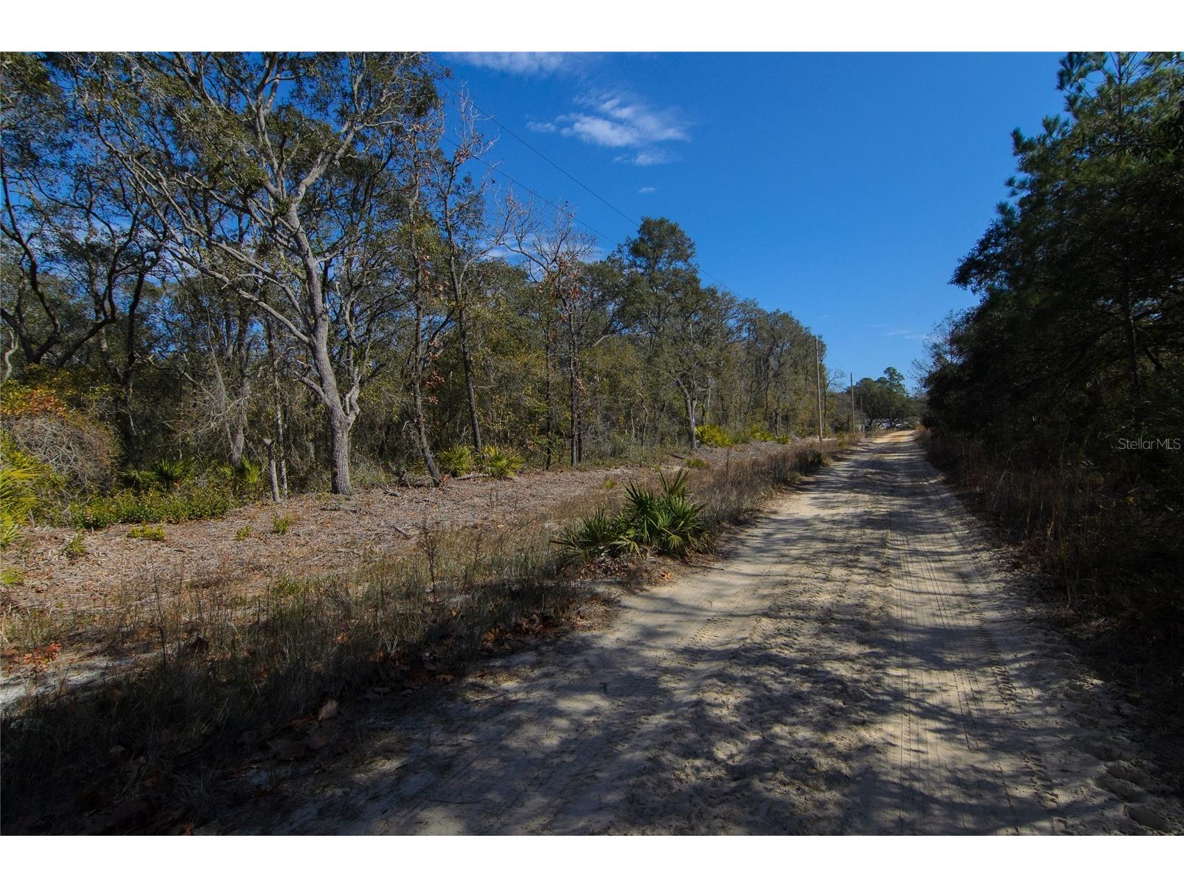 206 Tall Pine Trail Satsuma FL 32189 FC316044 image3