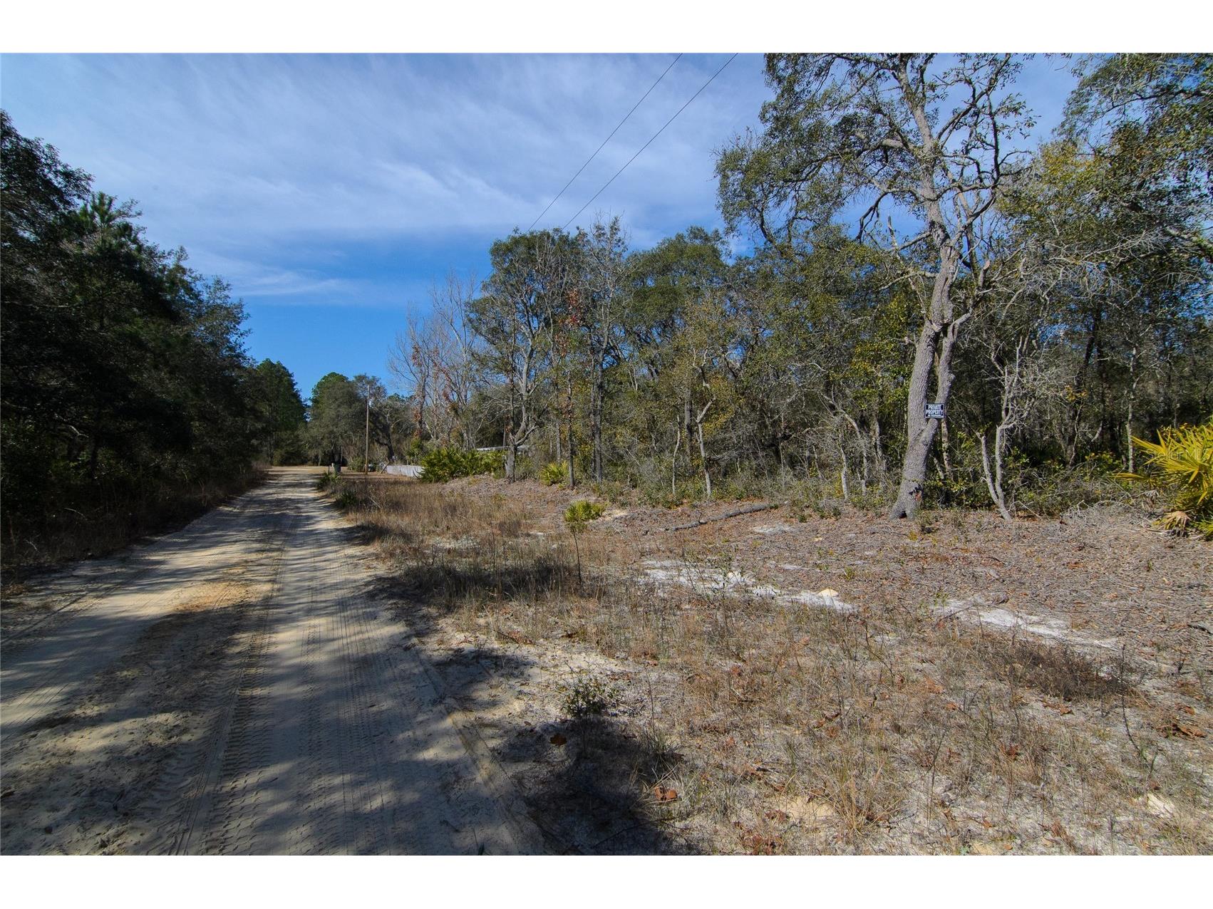 206 Tall Pine Trail Satsuma FL 32189 FC316044 image4