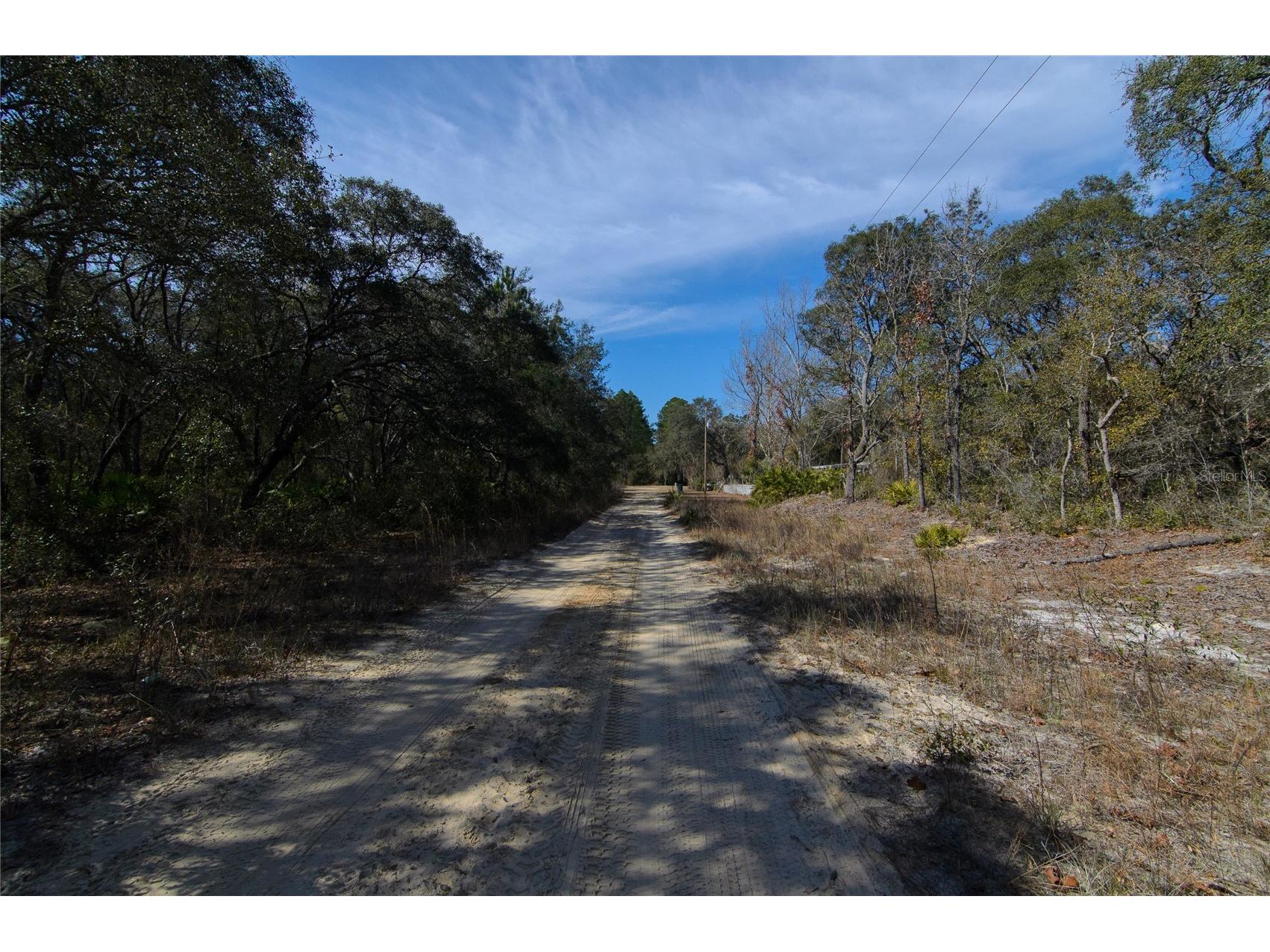 206 Tall Pine Trail Satsuma FL 32189 FC316044 image5