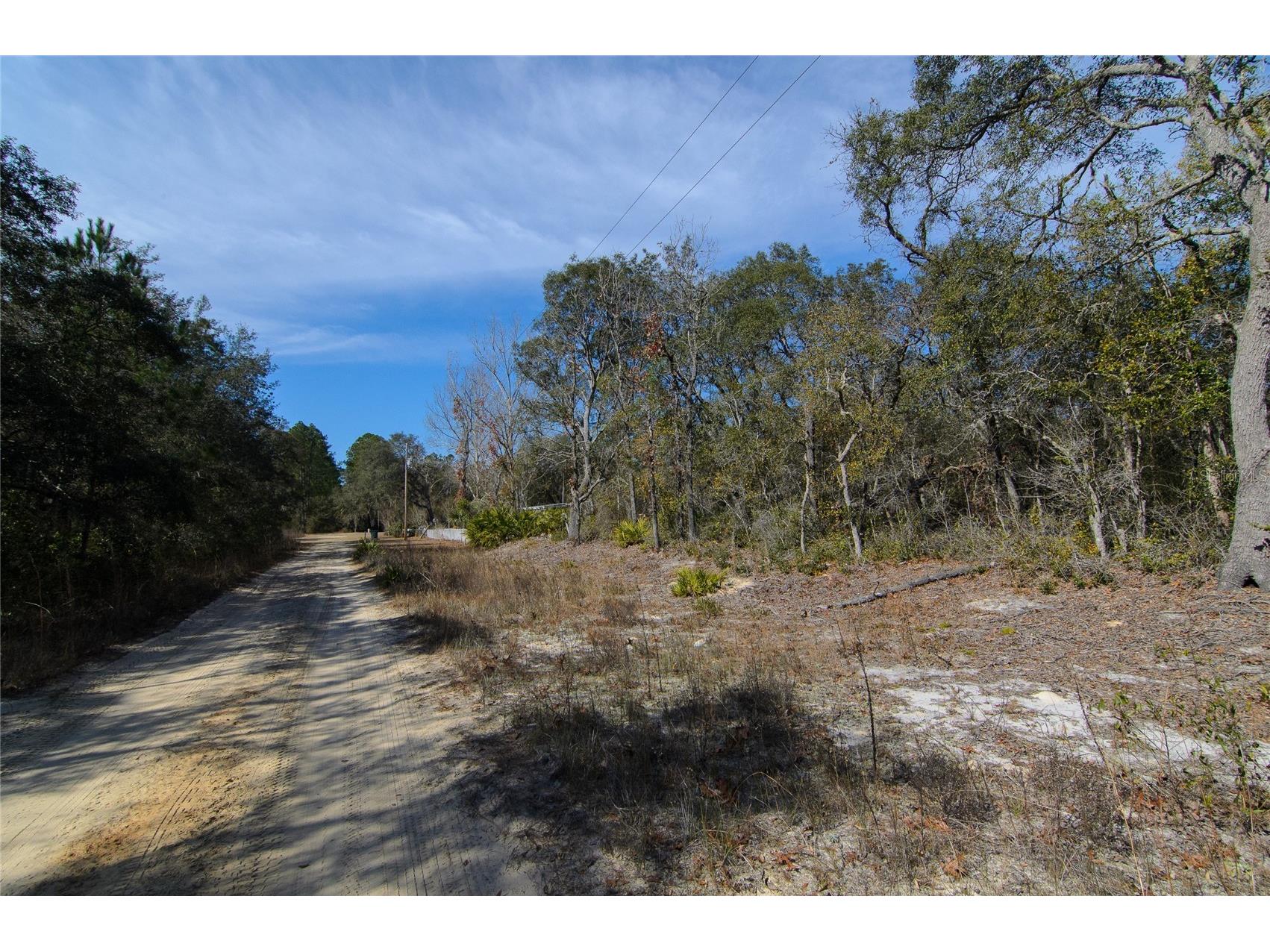 206 Tall Pine Trail Satsuma FL 32189 FC316044 image6