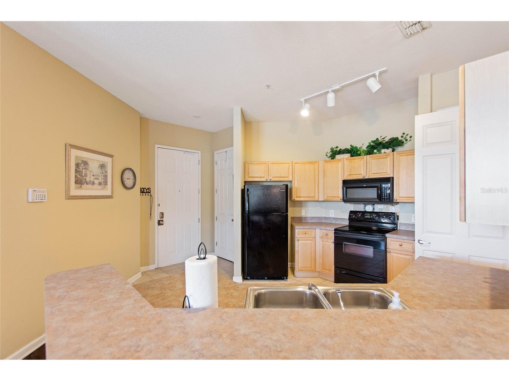 206 Terrace Ridge Circle #206 Davenport FL 33896 P4938679 image10