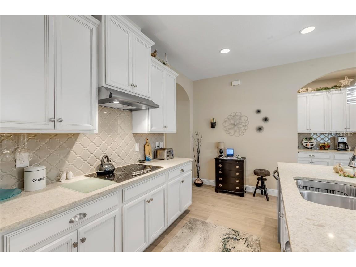 206 Venetian Palms Boulevard New Smyrna Beach FL 32168 NS1086366 image22