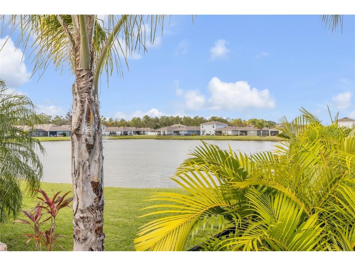 206 Venetian Palms Boulevard New Smyrna Beach FL 32168 NS1086366 image61