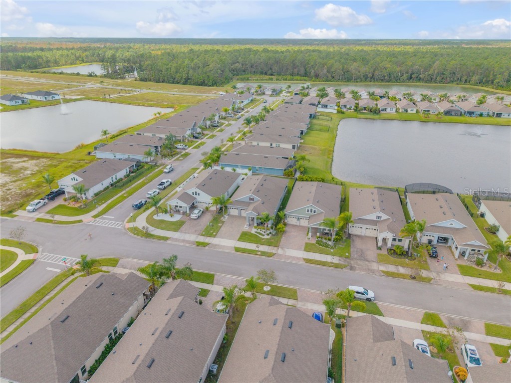 206 Venetian Palms Boulevard New Smyrna Beach FL 32168 NS1086366 image70