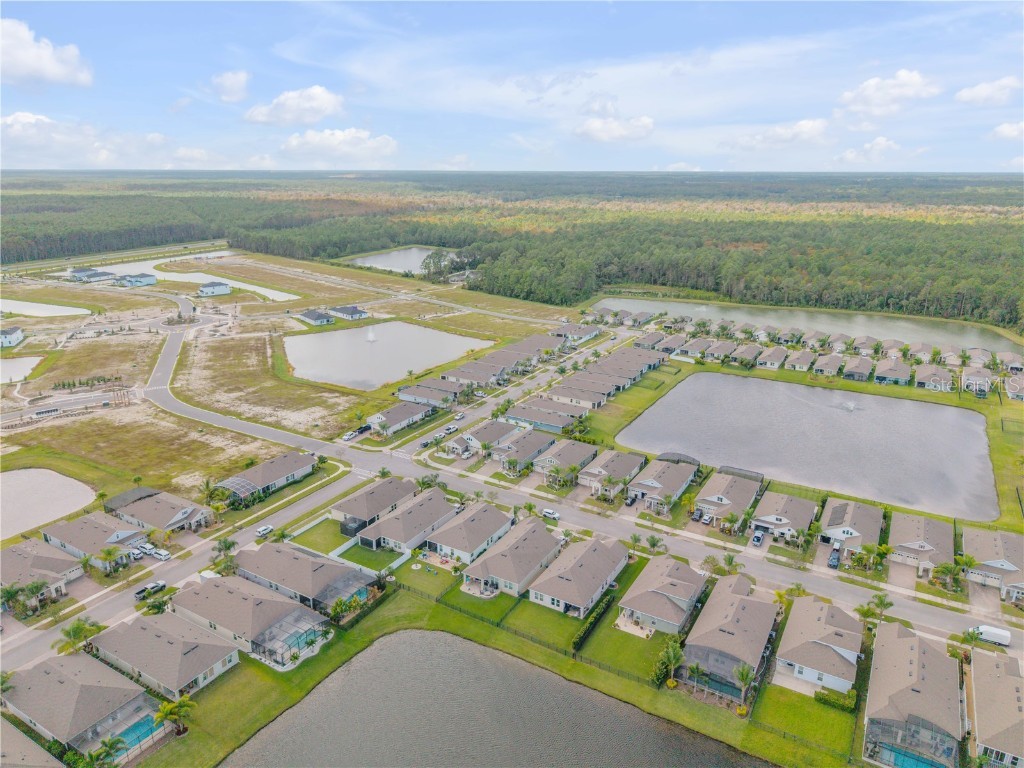 206 Venetian Palms Boulevard New Smyrna Beach FL 32168 NS1086366 image71