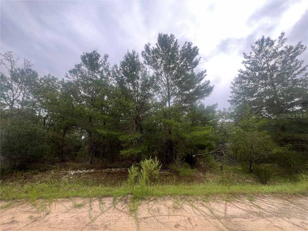 206 Wales Street Interlachen FL 32148 OK225380 image1