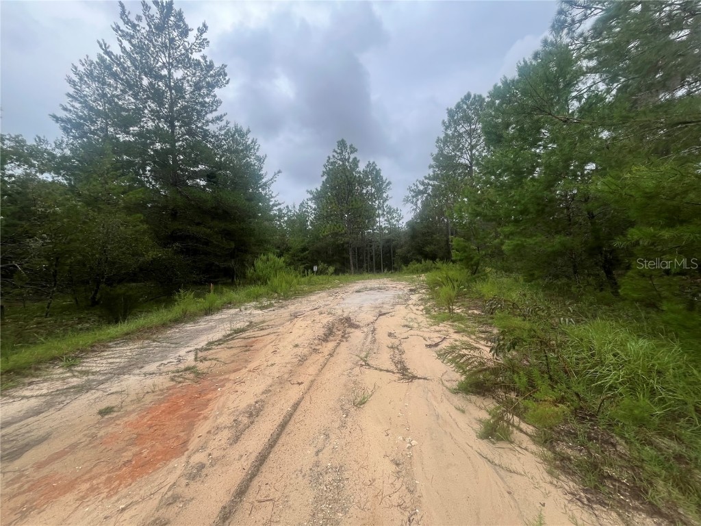 206 Wales Street Interlachen FL 32148 OK225380 image2