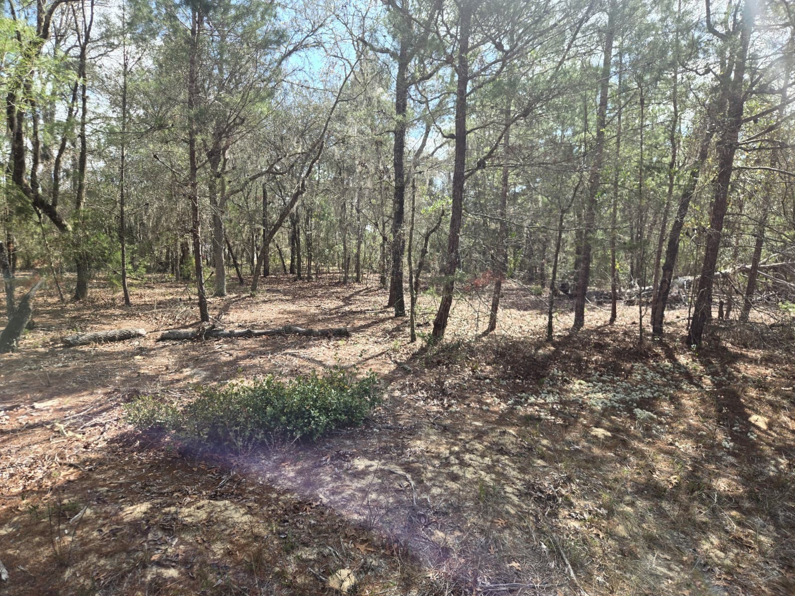 206 Wales Street Interlachen FL 32148 TB8495116 image10