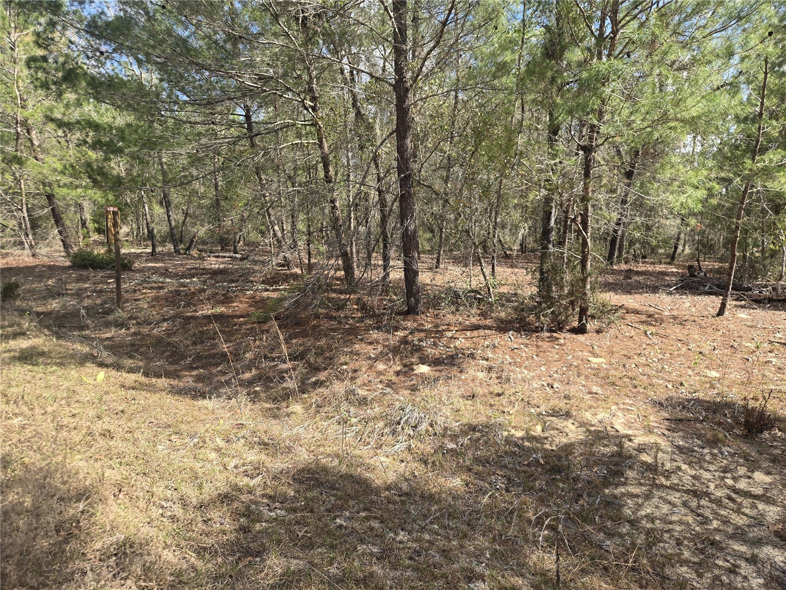 206 Wales Street Interlachen FL 32148 TB8495116 image12