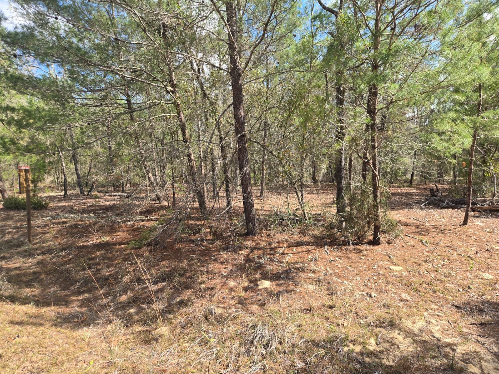 206 Wales Street Interlachen FL 32148 TB8495116 image4