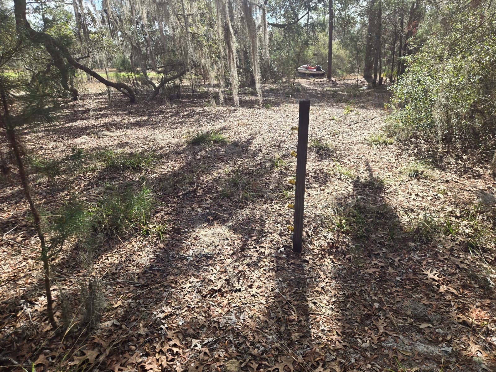 206 Wales Street Interlachen FL 32148 TB8495116 image7