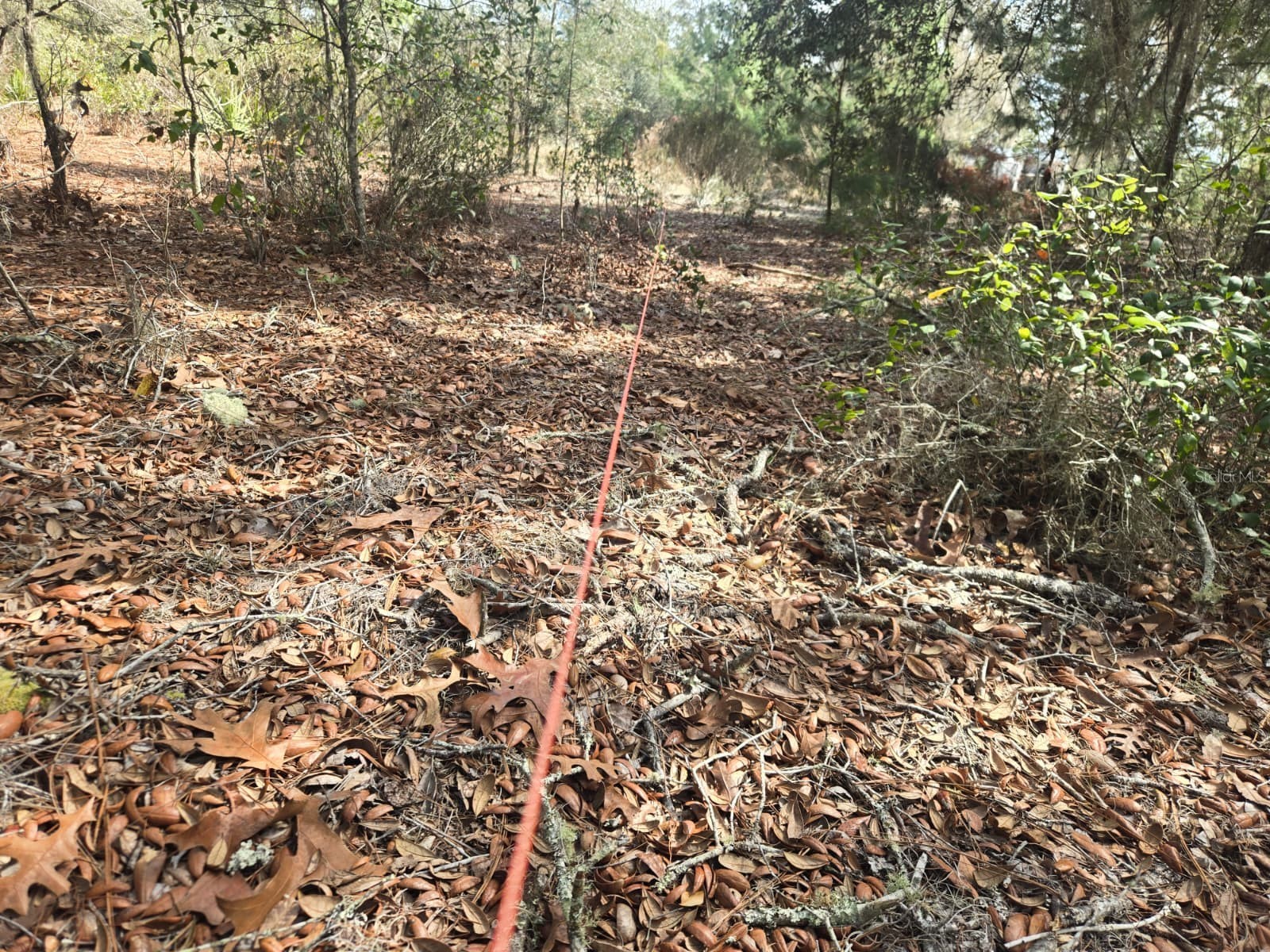 206 Wales Street Interlachen FL 32148 TB8495116 image8