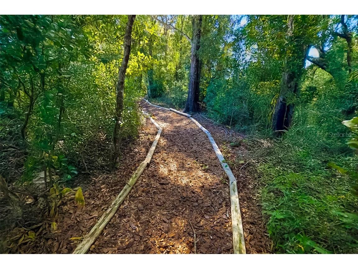 2060 Canopy Terrace Boulevard Deland FL 32724 O6361078 image45